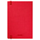 Ежедневник Canyon Btobook недатированный, красный (без упаковки